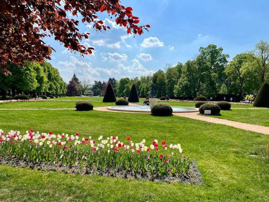 Apartman Terasa U Kolonady Apartment Podebrady Bagian luar foto