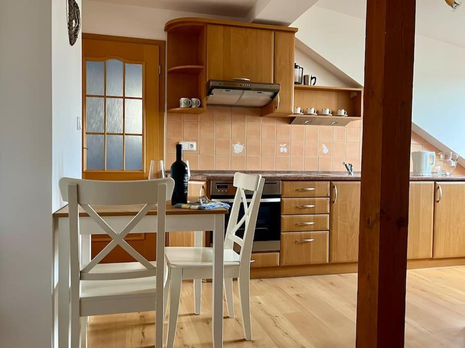 Apartman Terasa U Kolonady Apartment Podebrady Bagian luar foto